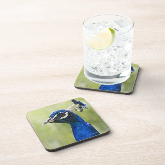 Pfaukopf Getränkeuntersetzer (Rechte Seite)