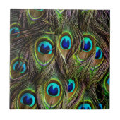 Pfaumuster Fliese (Vorderseite)