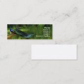 Pfauprofil/-Visitenkarte Mini Visitenkarte (Vorne/Hinten)