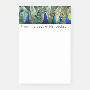 Pfaus Post-it Klebezettel