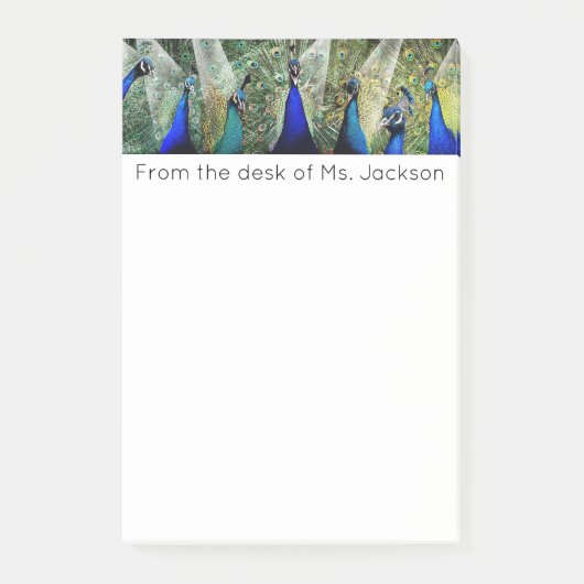 Pfaus Post-it Klebezettel (Vorderseite)