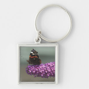 Pfauschmetterling auf Blume Schlüsselanhänger