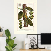 PFEFFER - BOTANISCHE VINTAGE-ILLUSTRATION POSTER (Heimbüro)