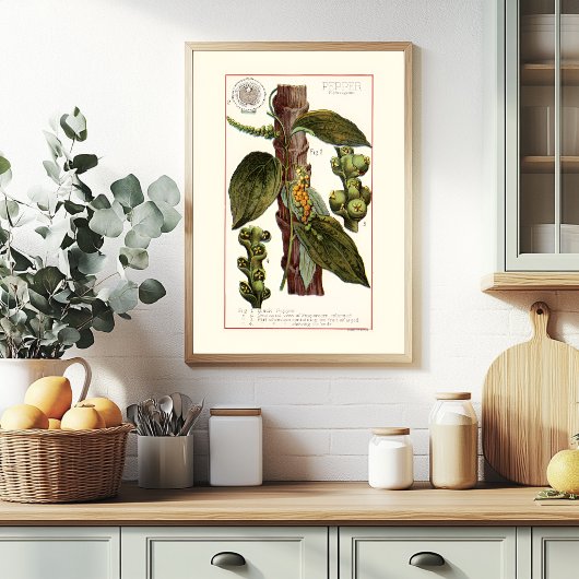 PFEFFER - BOTANISCHE VINTAGE-ILLUSTRATION POSTER