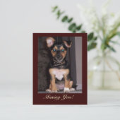 Pfeffer den Hund Vermisst Sie Postkarte (Stehend Vorderseite)