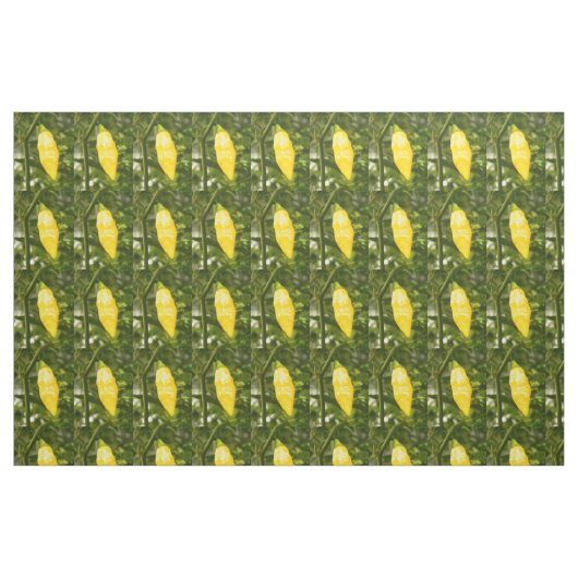 PFEFFER ST AUGUSTINE DATIL STOFF (Fat Quarter (45,7 x 55,9 cm))