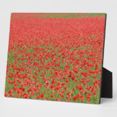 Pfeffer - Tausende! Fotoplatte (Seite)