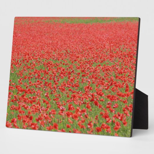 Pfeffer - Tausende! Fotoplatte (Seite)