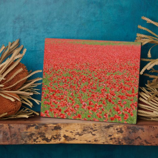 Pfeffer - Tausende! Fotoplatte (Seite)