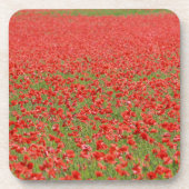 Pfeffer - Tausende! Getränkeuntersetzer (Vorderseite)