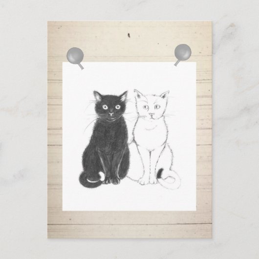 Pfeffer und Salz Postkarte (Vorderseite)