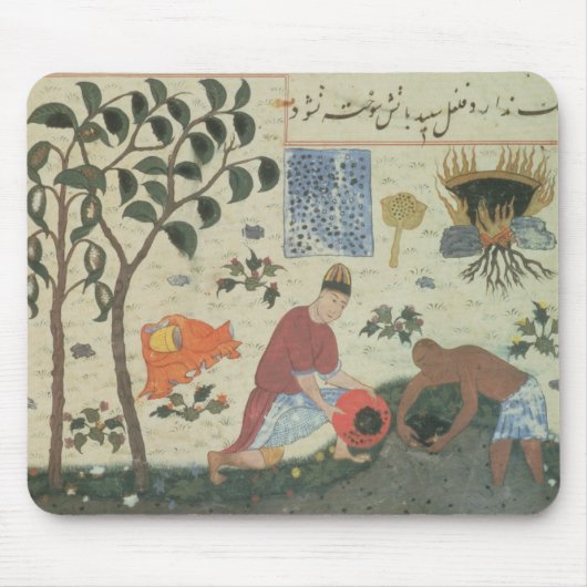 Pfefferbaum Frau-Pers 332 und sich vorbereiten Mousepad (Vorne)