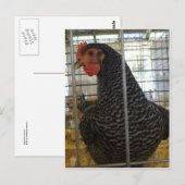 Pfefferhühner Postkarte (Vorne/Hinten)