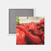Pfeffermagnete, Küche, roter Chili Magnet (Vorderseite/Rückseite)