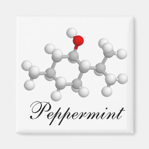 Pfefferminz Magnet