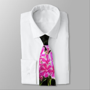Pfefferminz Twist Phlox im Blumengarten Krawatte