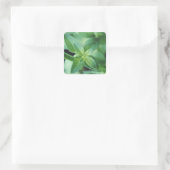 Pfefferminzblatt Quadratischer Aufkleber (Tasche)