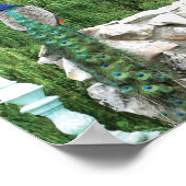 Pfeifen in einem Foto Poster (Ecke)