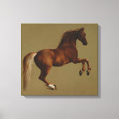 Pfeifenjacke das Pferd (von George Stubbs) Leinwanddruck (Vorderseite)