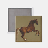Pfeifenjacke das Pferd (von George Stubbs) Magnet (Vorderseite/Rückseite)
