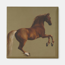 Pfeifenjacke das Pferd (von George Stubbs) Magnet