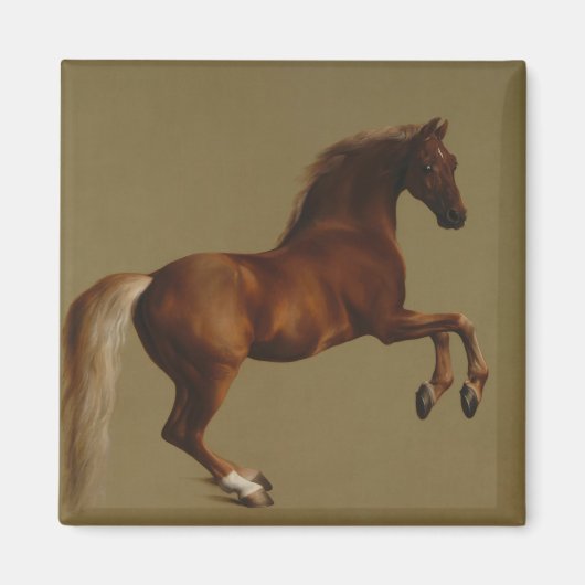 Pfeifenjacke das Pferd (von George Stubbs) Magnet (Vorne)