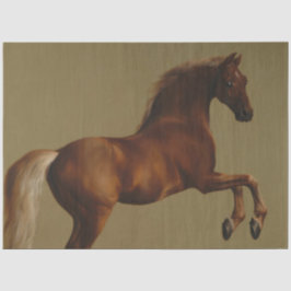 Pfeifenjacke das Pferd (von George Stubbs) Seidenpapier
