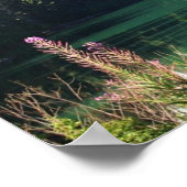 Pfeifensee Poster (Ecke)