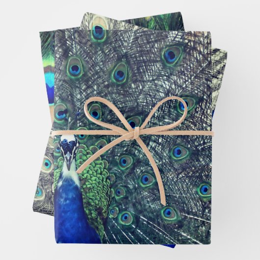 Pfeifenwappapier Geschenkpapier Set (Beispiel)