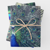 Pfeifenwappapier Geschenkpapier Set (Beispiel)