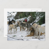 Pfeifer, Kanada Postkarte (Vorne/Hinten)