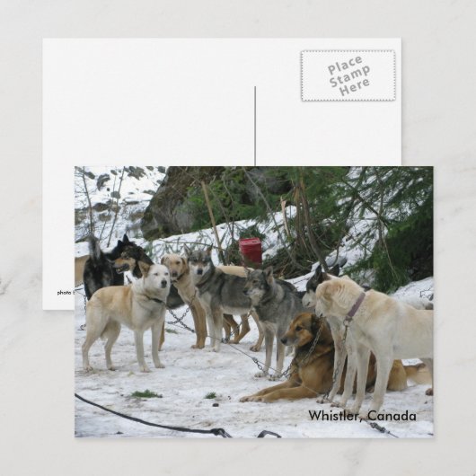 Pfeifer, Kanada Postkarte (Vorne/Hinten)