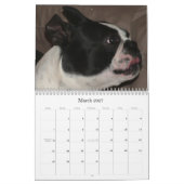 Pfeifer u. Pinocchio 2009 Kalender (Mär 2027)