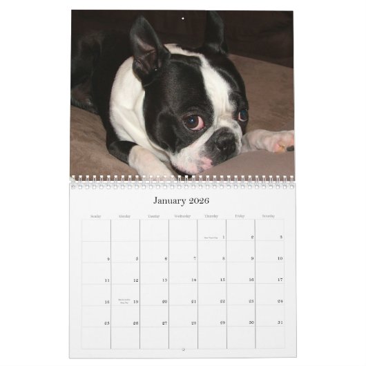 Pfeifer u. Pinocchio 2009 Kalender (Jan 2026)