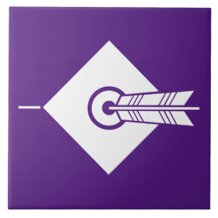 Pfeil-Trefferziel Dekorative Tiles Fliese