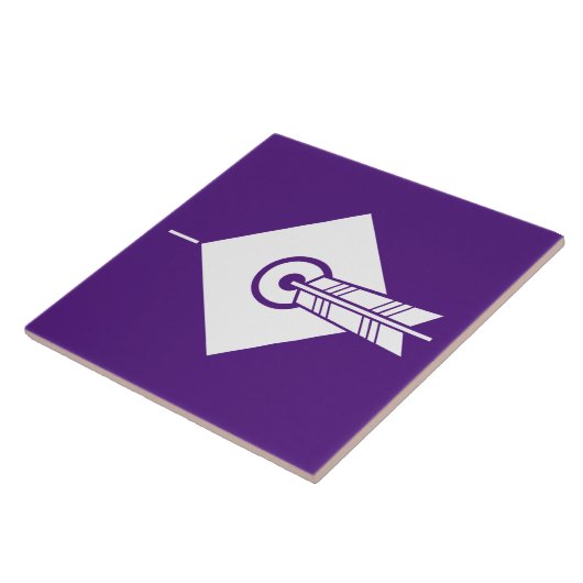 Pfeil-Trefferziel Dekorative Tiles Fliese (Seite)