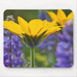Pfeilblatt-Balsam-Wurzel und Lupine in Frühlingsbl Mousepad