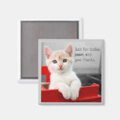 Pfeile und dank Magnet geben (Vorderseite/Rückseite)