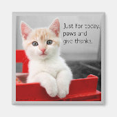 Pfeile und dank Magnet geben (Vorne)