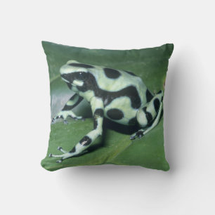 Pfeilgiftfrosch, (Dendrobates auratus) Cahuita Kissen