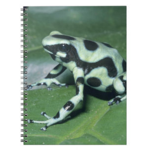 Pfeilgiftfrosch, (Dendrobates auratus) Cahuita Notizblock