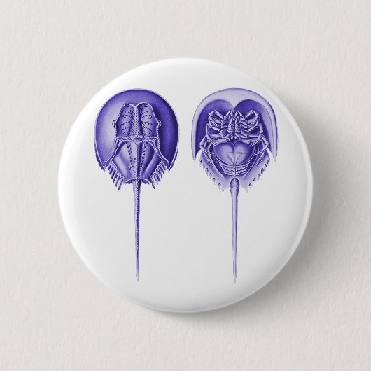 Pfeilschwanzkrebs Button (Vorderseite)