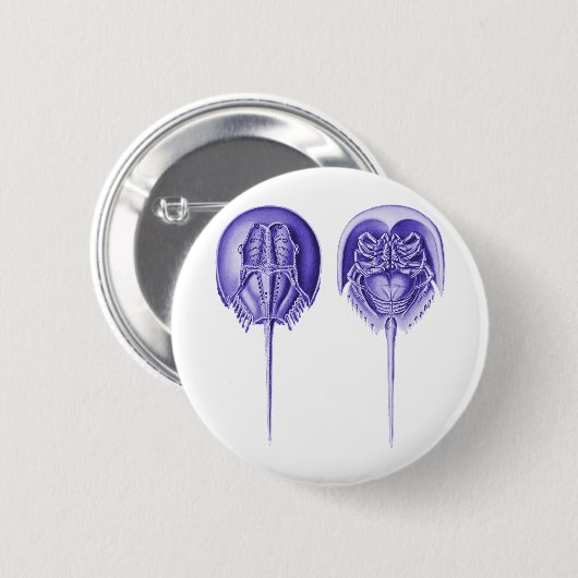 Pfeilschwanzkrebs Button (Vorne & Hinten)