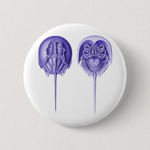 Pfeilschwanzkrebs Button