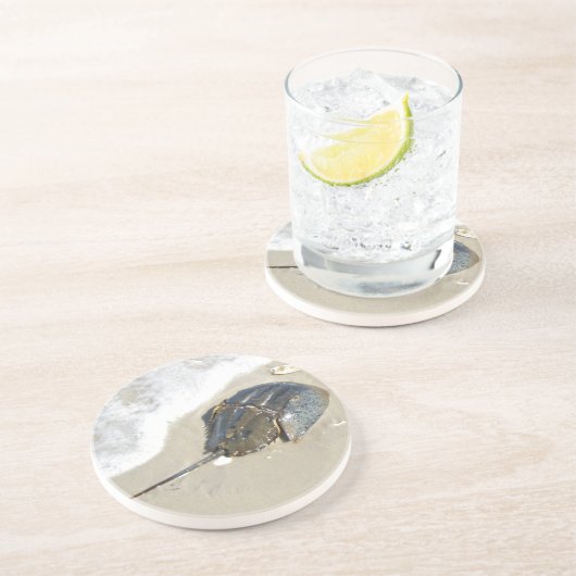 Pfeilschwanzkrebs Getränkeuntersetzer (Seite)