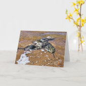 Pfeilschwanzkrebs-Gruß-Karte - Innere-freier Raum Karte (Gelbe Blume)