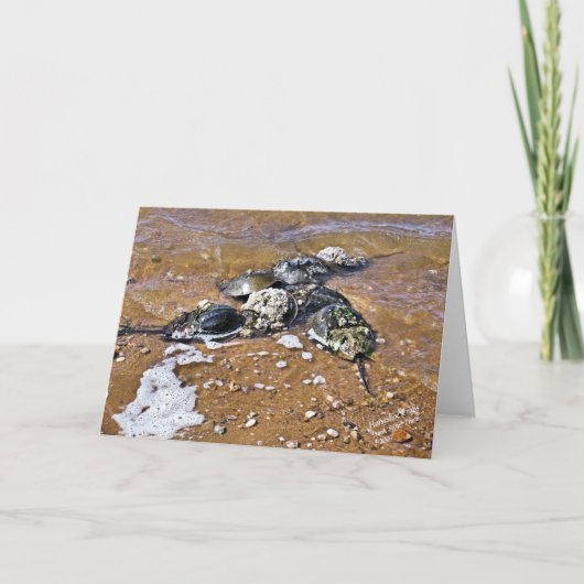 Pfeilschwanzkrebs-Gruß-Karte - Innere-freier Raum Karte (Vorderseite)