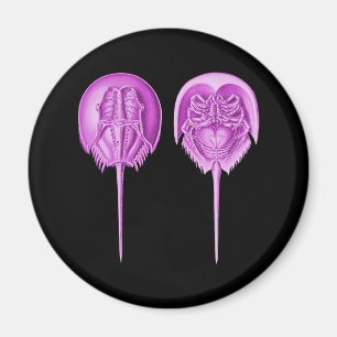 Pfeilschwanzkrebs Magnet