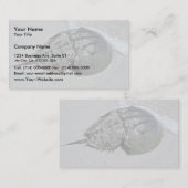Pfeilschwanzkrebs - Mann Visitenkarte (Vorne/Hinten)