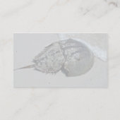 Pfeilschwanzkrebs - Mann Visitenkarte (Rückseite)